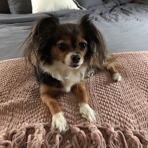 Meet your Posher, Amanda